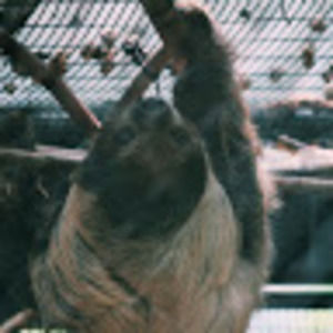 Meet your Posher, Mikayla